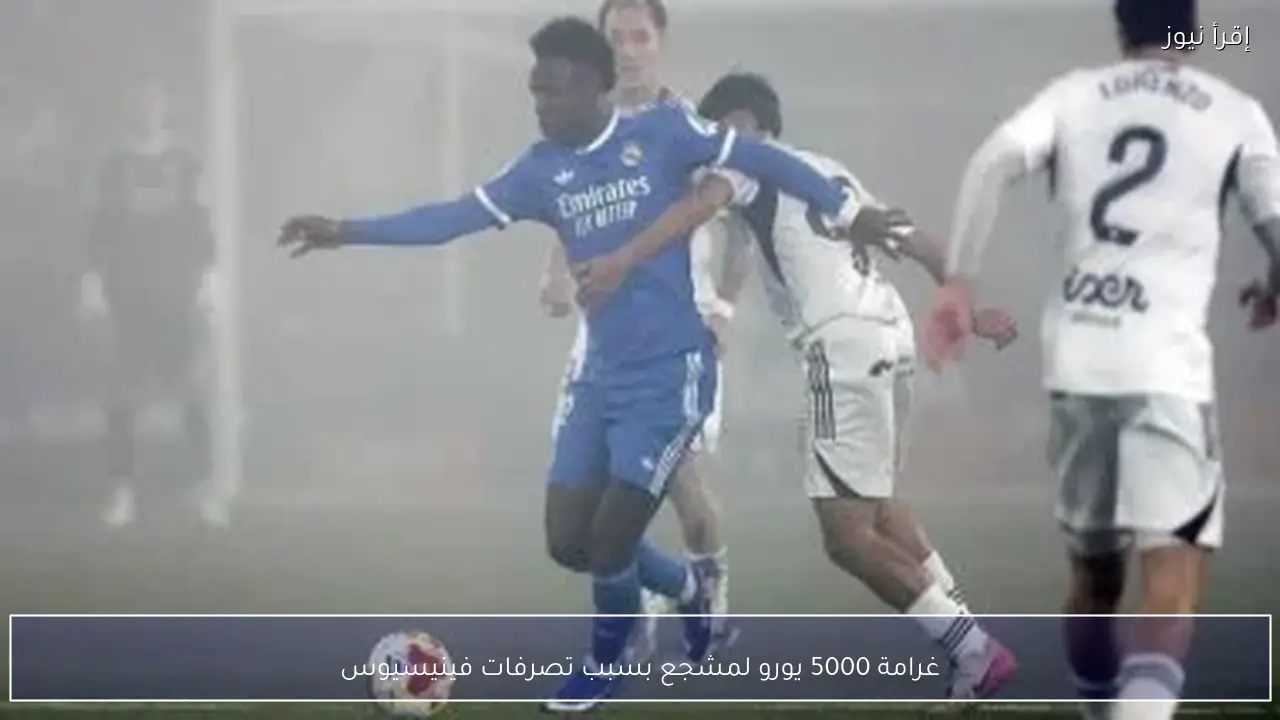 غرامة 5000 يورو لمشجع بسبب تصرفات فينيسيوس