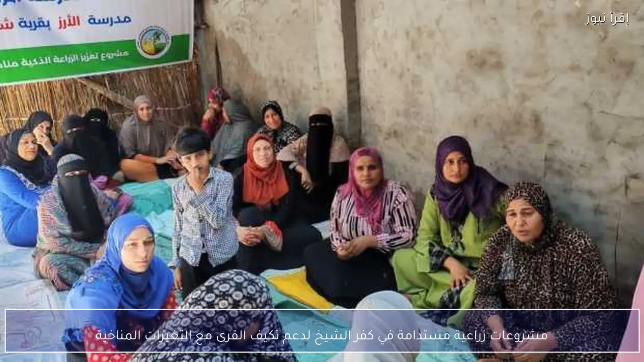 مشروعات زراعية مستدامة في كفر الشيخ لدعم تكيف القرى مع التغيرات المناخية
