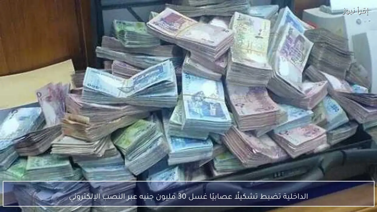 الداخلية تضبط تشكيلًا عصابيًا غسل 30 مليون جنيه عبر النصب الإلكتروني
