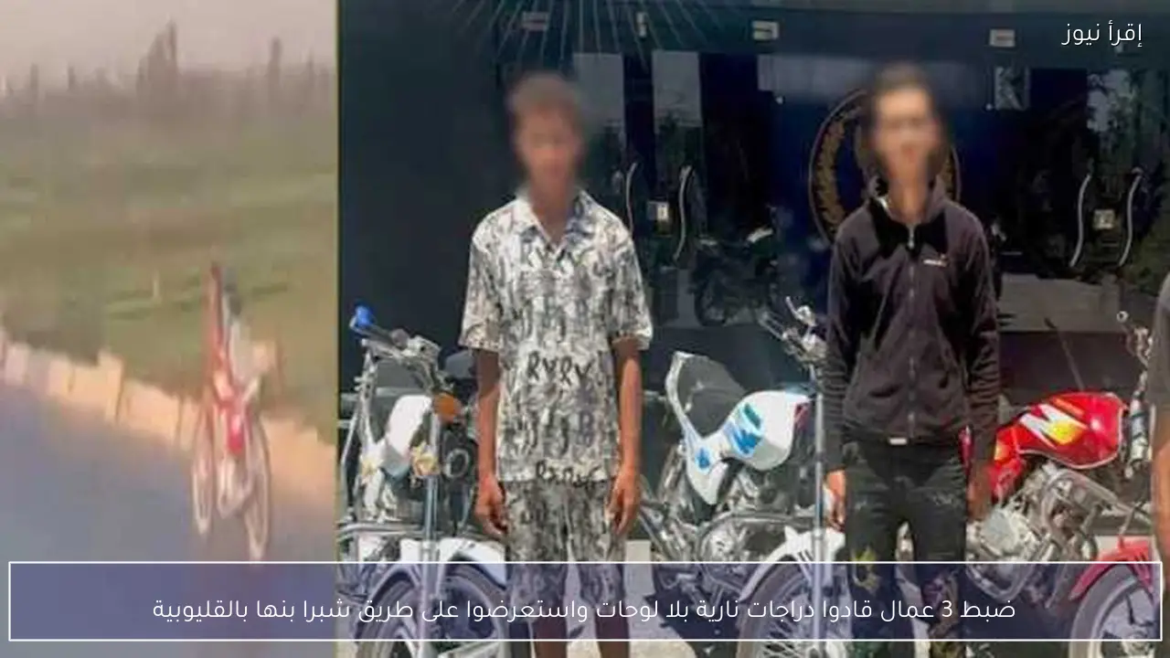ضبط 3 عمال قادوا دراجات نارية بلا لوحات واستعرضوا على طريق شبرا بنها بالقليوبية