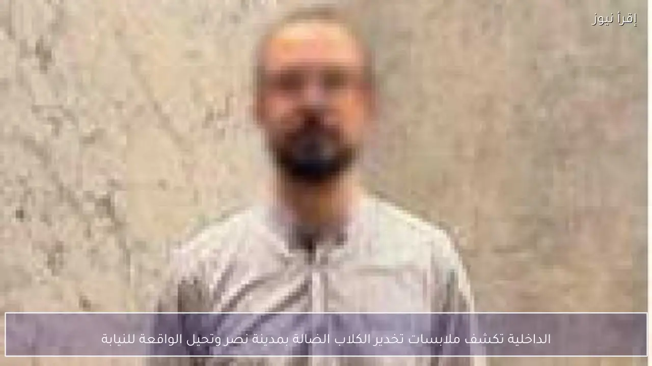 الداخلية تكشف ملابسات تخدير الكلاب الضالة بمدينة نصر وتحيل الواقعة للنيابة