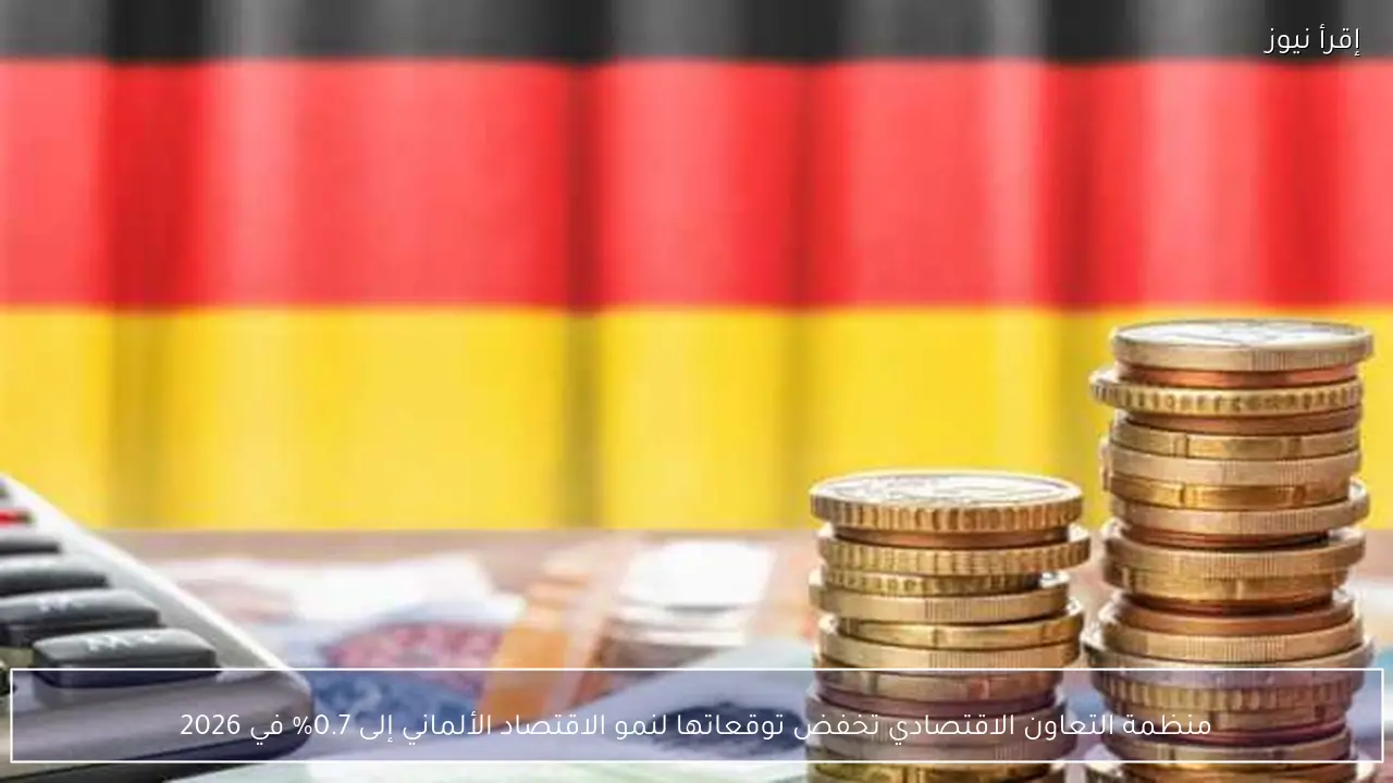 منظمة التعاون الاقتصادي تخفض توقعاتها لنمو الاقتصاد الألماني إلى 0.7% في 2026