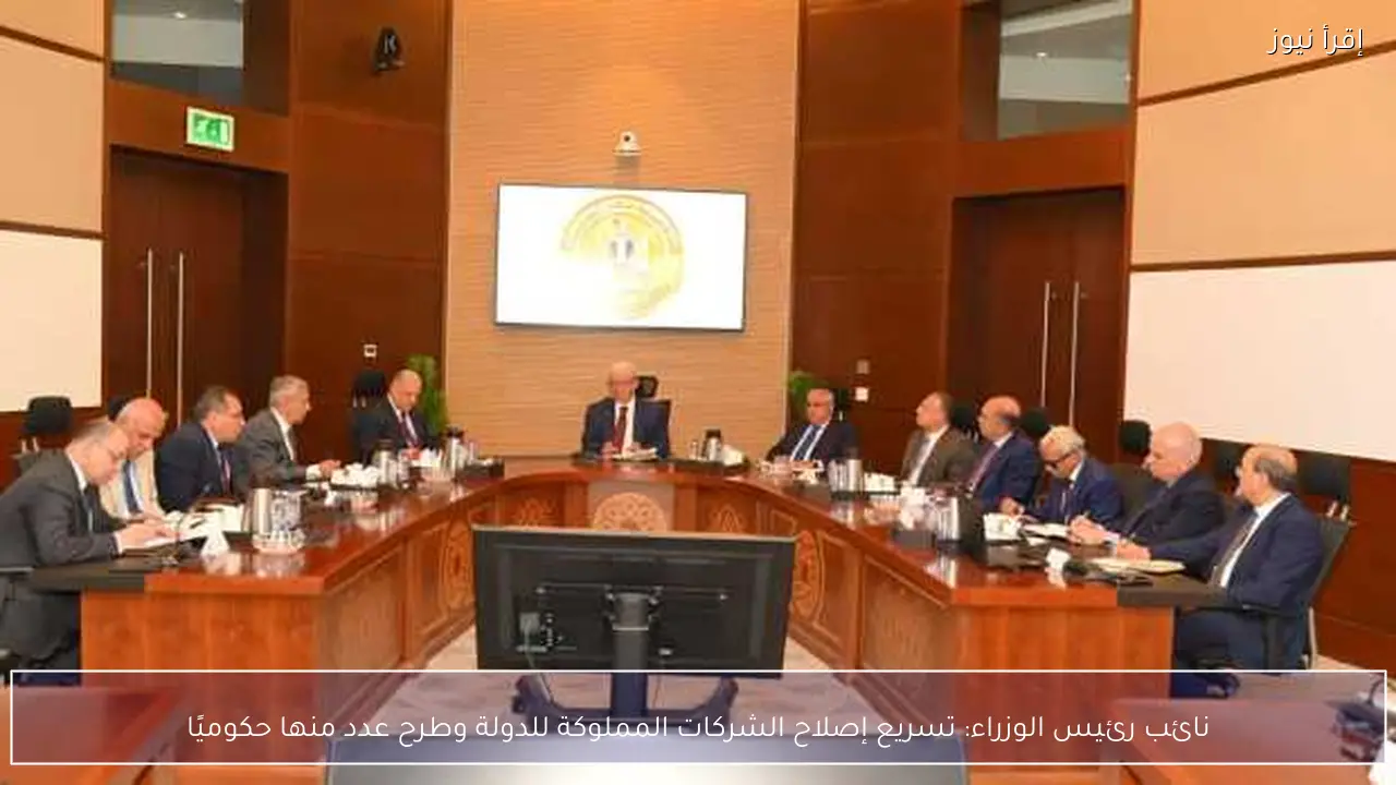 نائب رئيس الوزراء: تسريع إصلاح الشركات المملوكة للدولة وطرح عدد منها حكوميًا