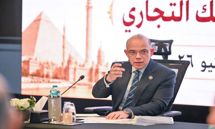 وزير الاستثمار