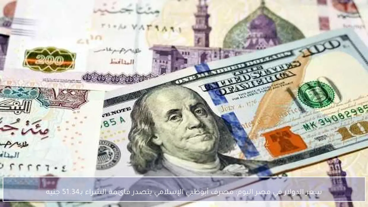 سعر الدولار في مصر اليوم: مصرف أبوظبي الإسلامي يتصدر قائمة الشراء بـ51.34 جنيه