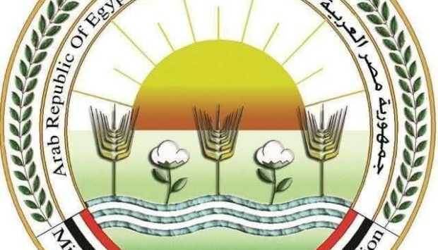 استثمارات زراعية بقيمة 2 مليار جنيه لتطوير الخدمات الإرشادية والبيطرية بالريف المصري بمناسبة 30 يونيو