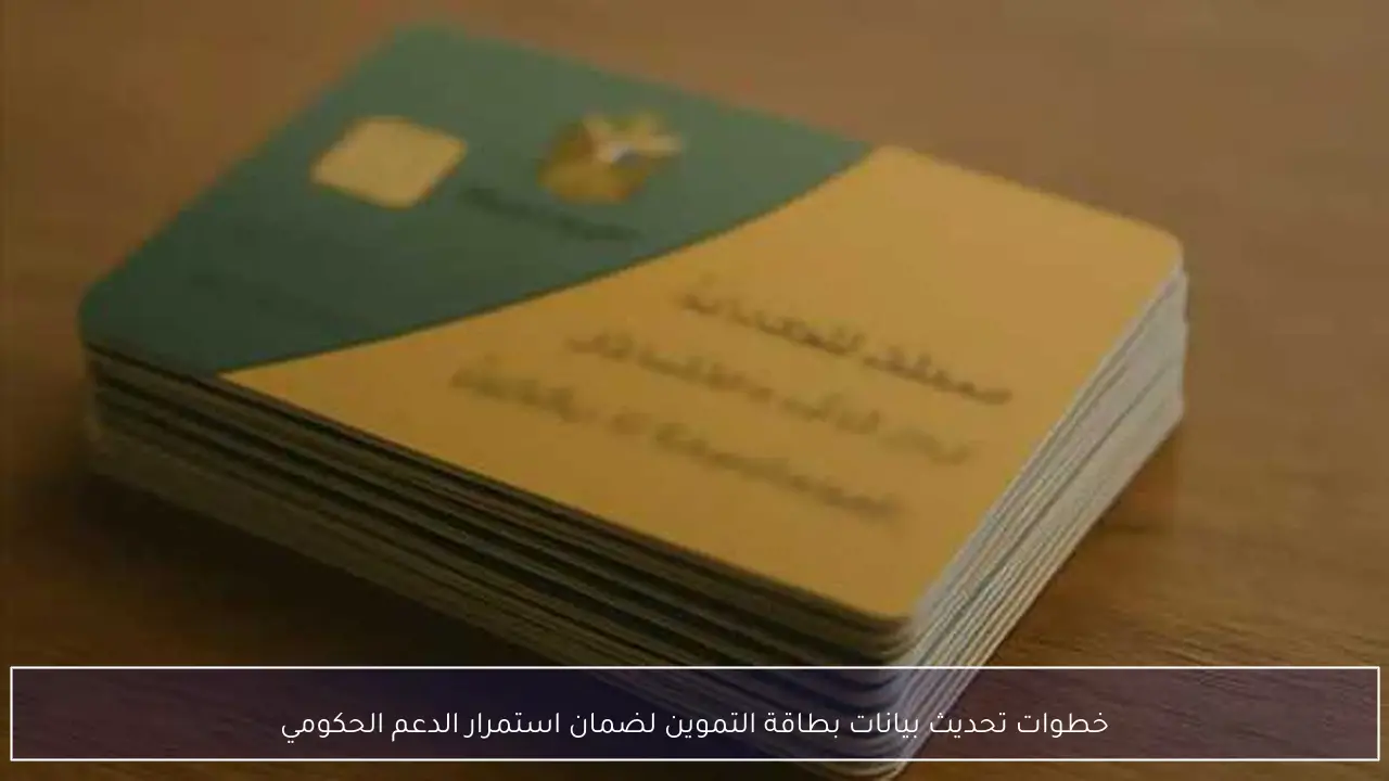 خطوات تحديث بيانات بطاقة التموين لضمان استمرار الدعم الحكومي