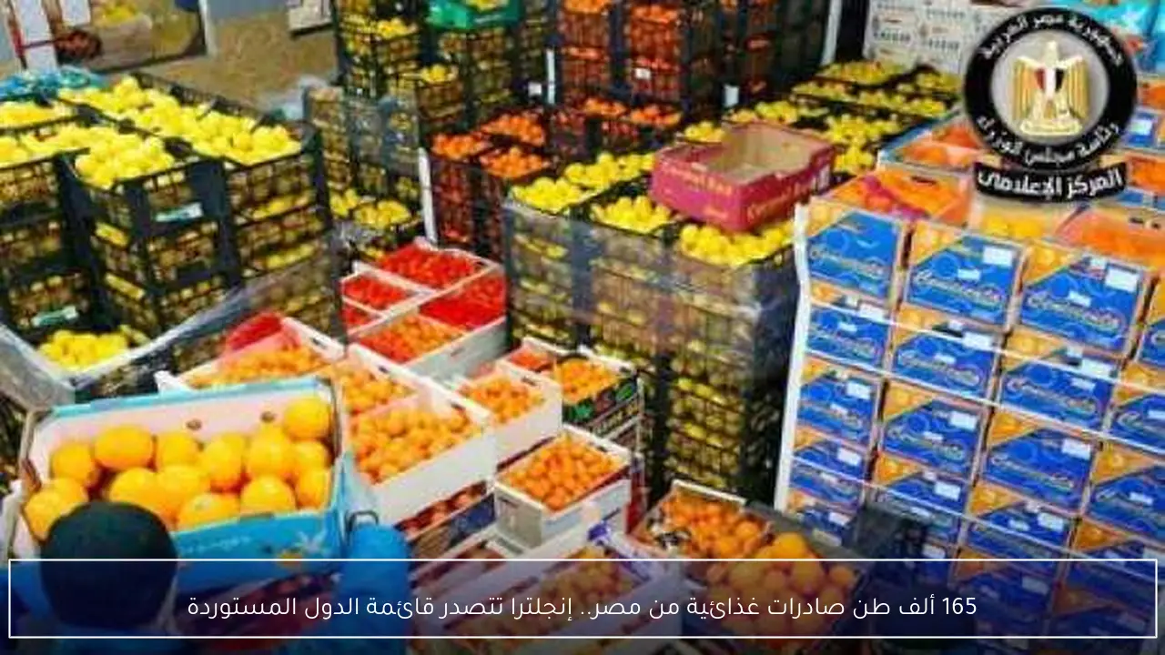 165 ألف طن صادرات غذائية من مصر.. إنجلترا تتصدر قائمة الدول المستوردة