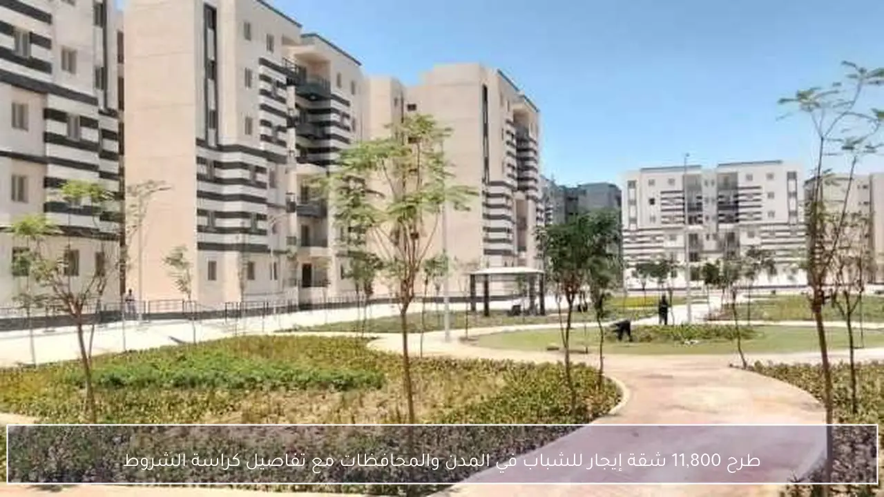 طرح 11,800 شقة إيجار للشباب في المدن والمحافظات مع تفاصيل كراسة الشروط