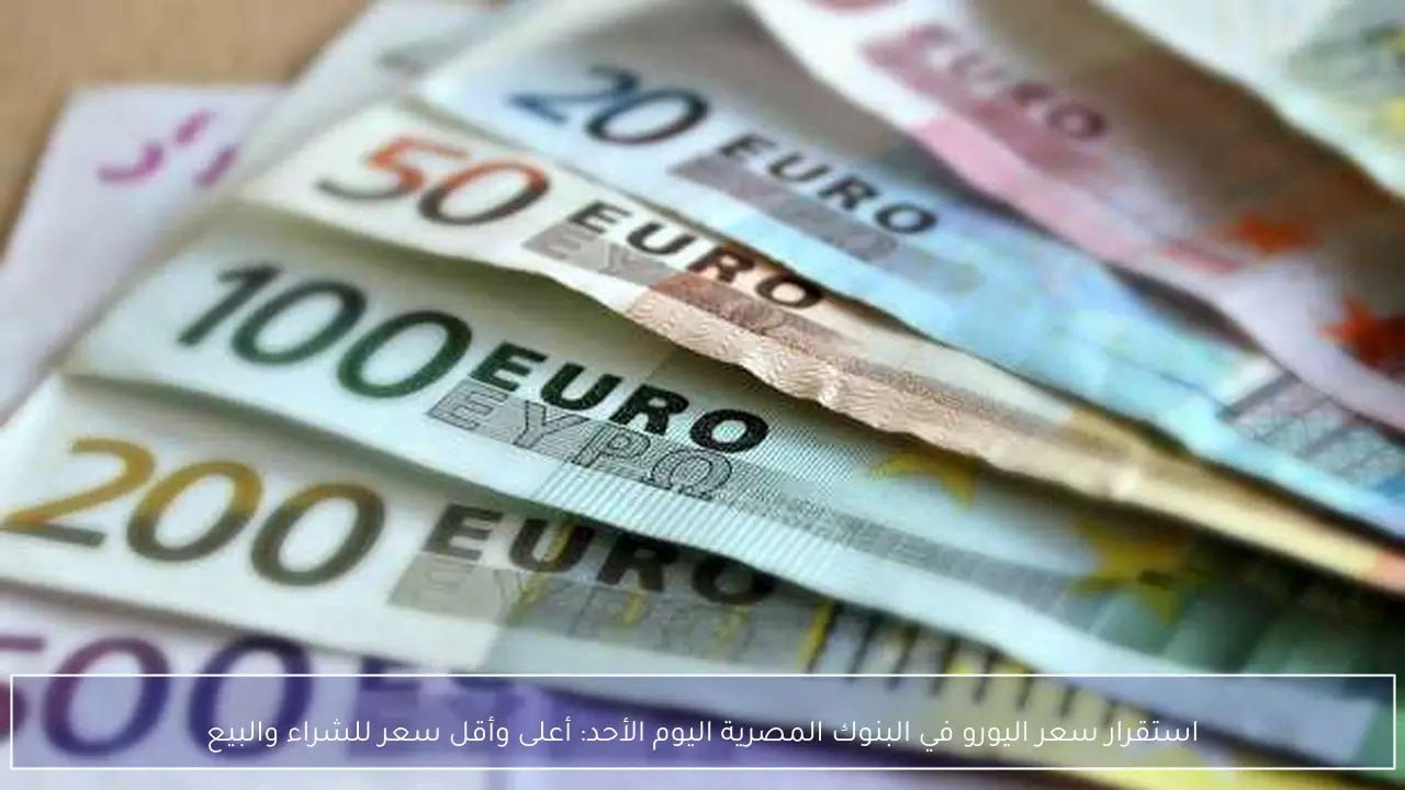 استقرار سعر اليورو في البنوك المصرية اليوم الأحد: أعلى وأقل سعر للشراء والبيع