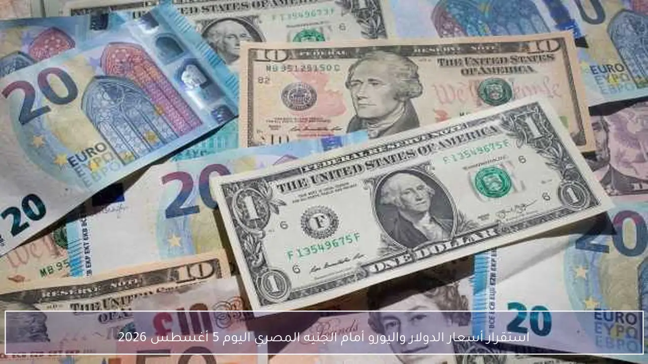 استقرار أسعار الدولار واليورو أمام الجنيه المصري اليوم 5 أغسطس 2026