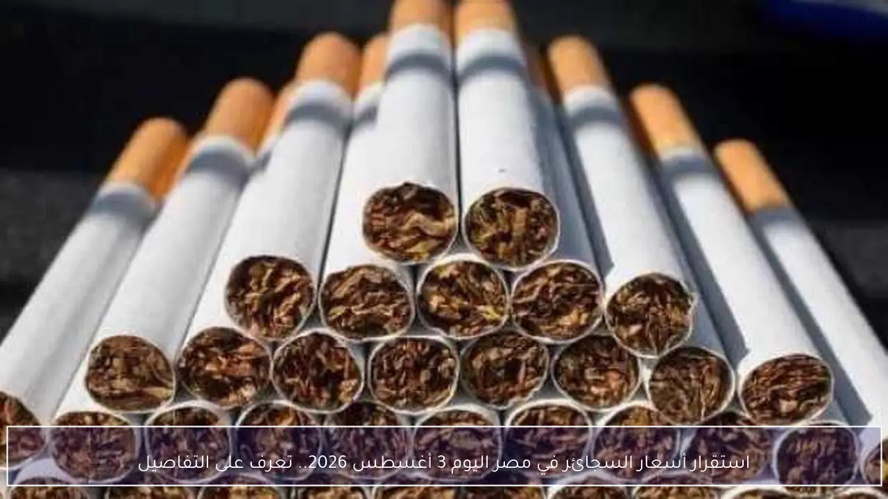 استقرار أسعار السجائر في مصر اليوم 3 أغسطس 2026.. تعرف على التفاصيل