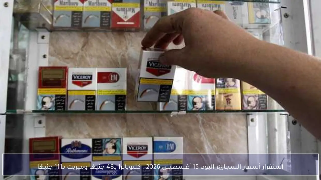استقرار أسعار السجائر اليوم 15 أغسطس 2026.. كليوباترا بـ48 جنيهًا وميريت بـ111 جنيهًا