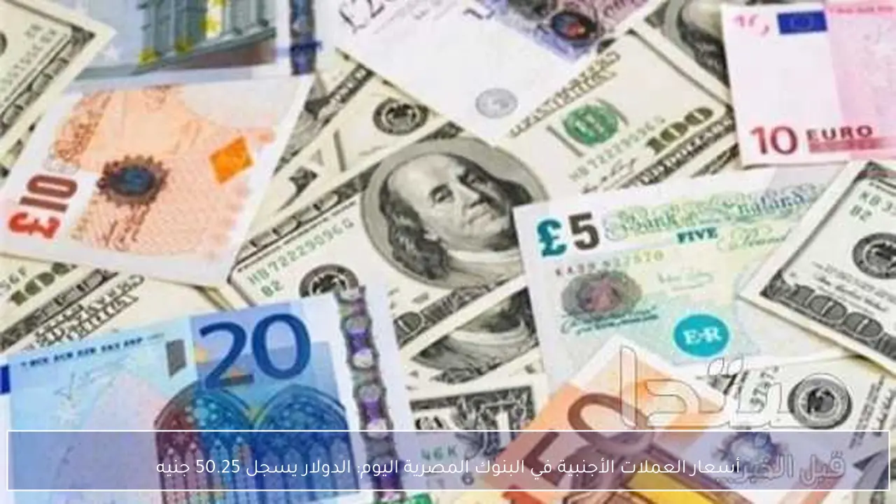 أسعار العملات الأجنبية في البنوك المصرية اليوم: الدولار يسجل 50.25 جنيه