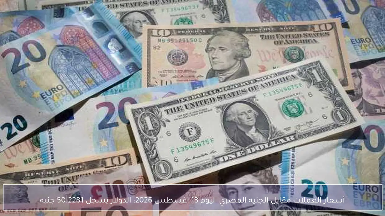 أسعار العملات مقابل الجنيه المصري اليوم 13 أغسطس 2026: الدولار يسجل 50.2281 جنيه