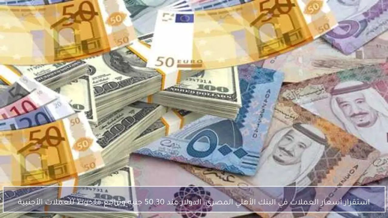 استقرار أسعار العملات في البنك الأهلي المصري: الدولار عند 50.30 جنيه وتراجع ملحوظ للعملات الأجنبية
