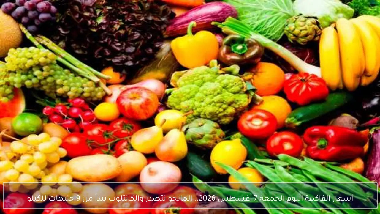 أسعار الفاكهة اليوم الجمعة 7 أغسطس 2026.. المانجو تتصدر والكانتلوب يبدأ من 9 جنيهات للكيلو