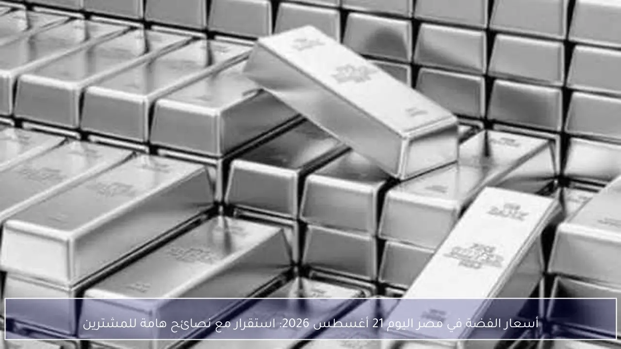 أسعار الفضة في مصر اليوم 21 أغسطس 2026: استقرار مع نصائح هامة للمشترين