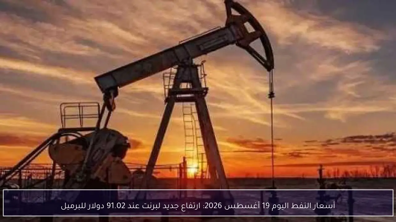 أسعار النفط اليوم 19 أغسطس 2026: ارتفاع جديد لبرنت عند 91.02 دولار للبرميل