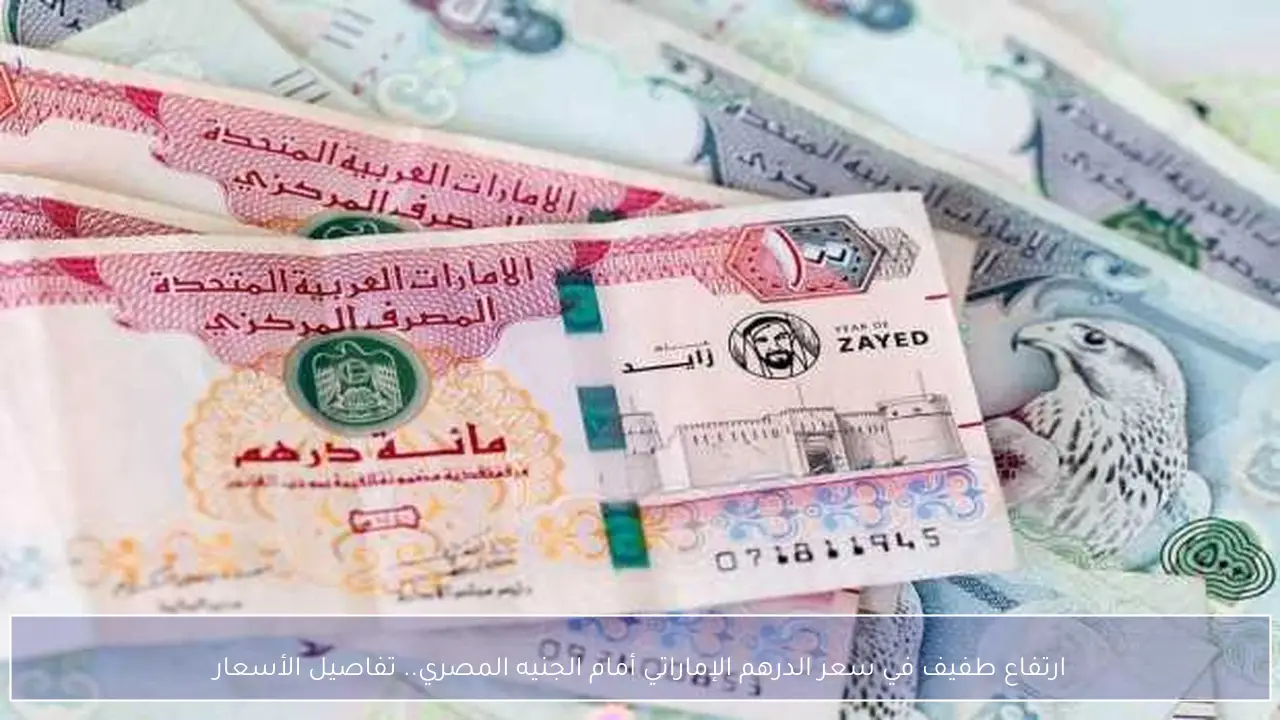 ارتفاع طفيف في سعر الدرهم الإماراتي أمام الجنيه المصري.. تفاصيل الأسعار