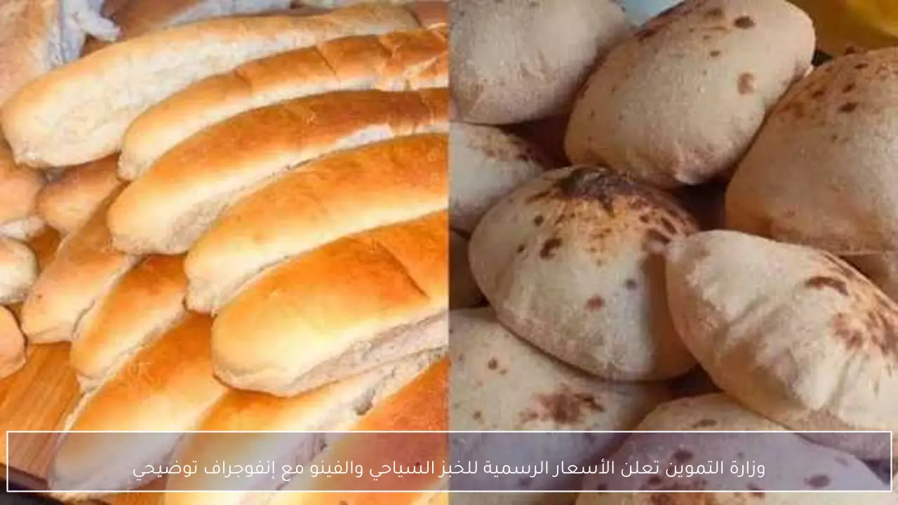 وزارة التموين تعلن الأسعار الرسمية للخبز السياحي والفينو مع إنفوجراف توضيحي