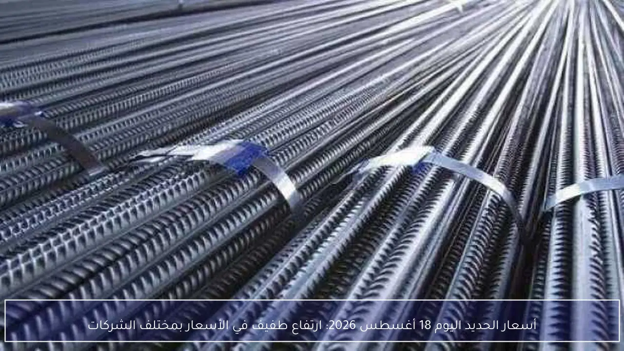 أسعار الحديد اليوم 18 أغسطس 2026: ارتفاع طفيف في الأسعار بمختلف الشركات
