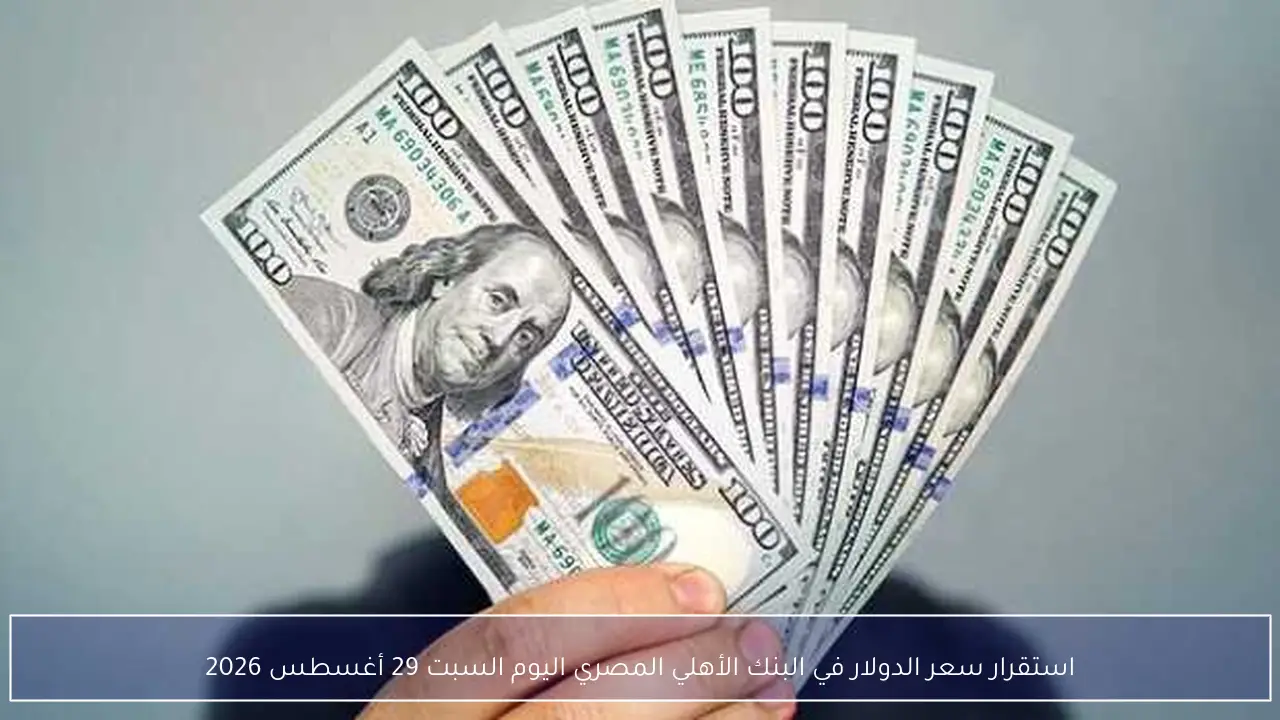 استقرار سعر الدولار في البنك الأهلي المصري اليوم السبت 29 أغسطس 2026