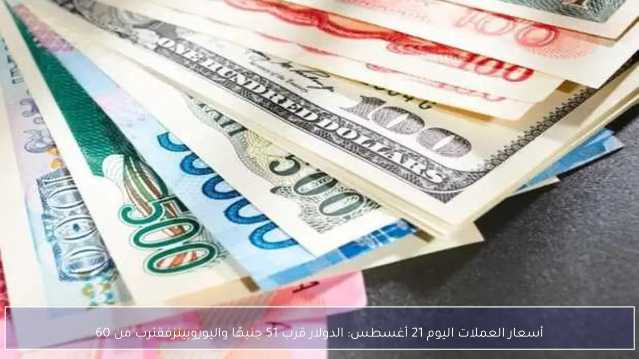 أسعار العملات اليوم 21 أغسطس: الدولار قرب 51 جنيهًا واليوروبينزفقترب من 60