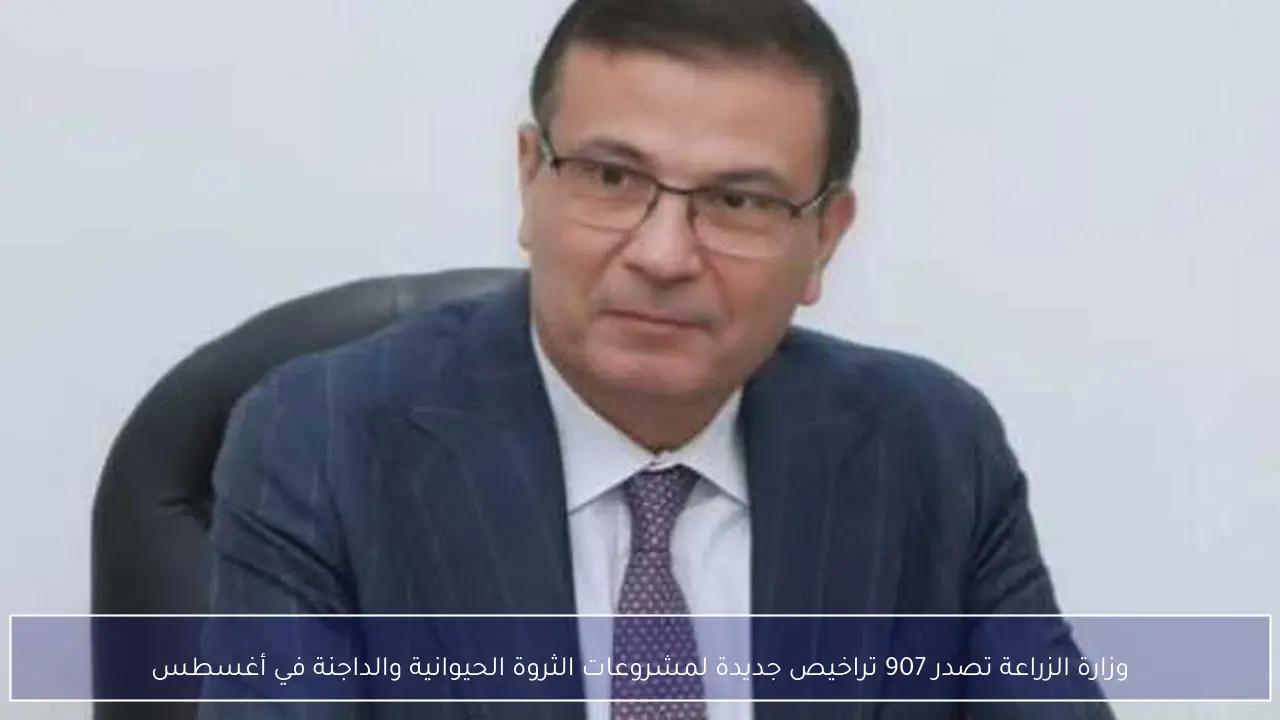 وزارة الزراعة تصدر 907 تراخيص جديدة لمشروعات الثروة الحيوانية والداجنة في أغسطس