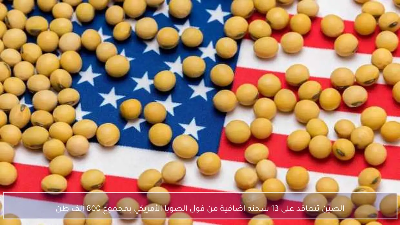 الصين تتعاقد على 13 شحنة إضافية من فول الصويا الأمريكي بمجموع 800 ألف طن