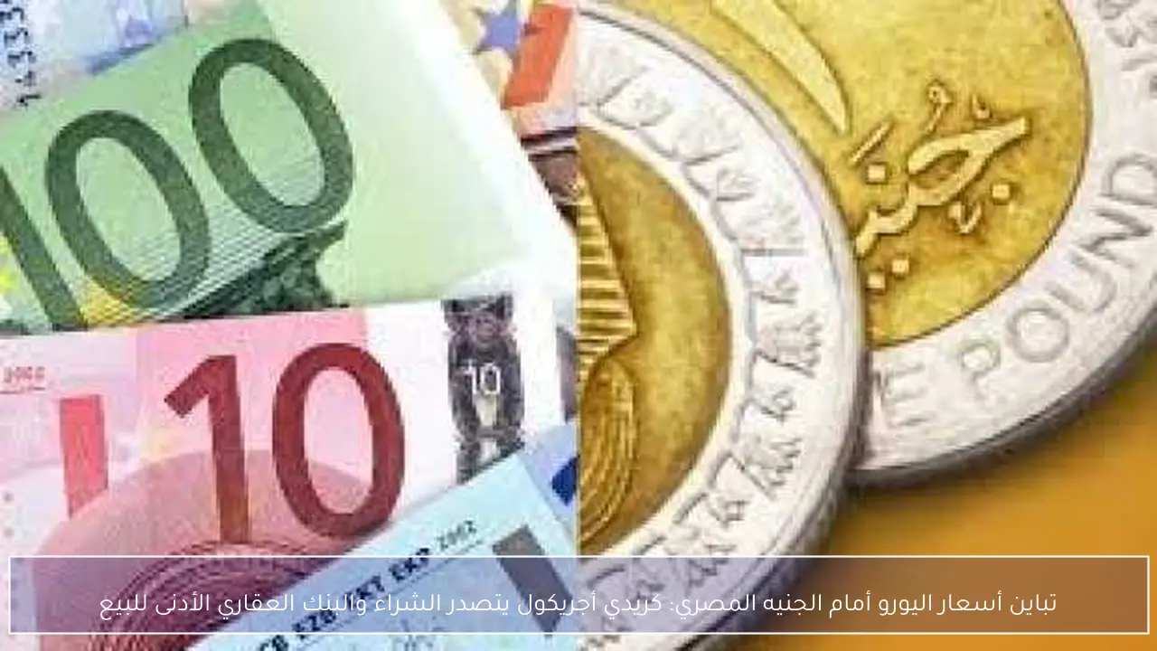 تباين أسعار اليورو أمام الجنيه المصري: كريدي أجريكول يتصدر الشراء والبنك العقاري الأدنى للبيع