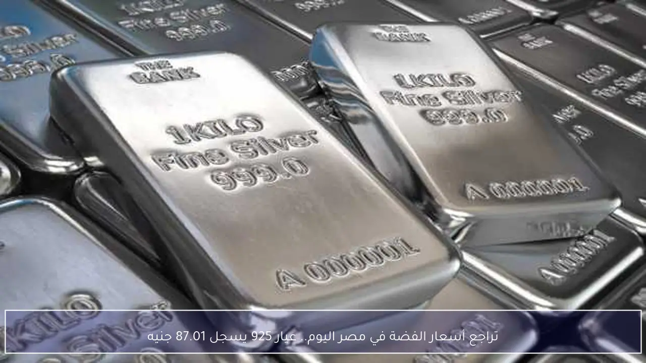 تراجع أسعار الفضة في مصر اليوم.. عيار 925 يسجل 87.01 جنيه