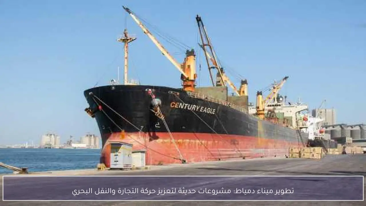 تطوير ميناء دمياط: مشروعات حديثة لتعزيز حركة التجارة والنقل البحري