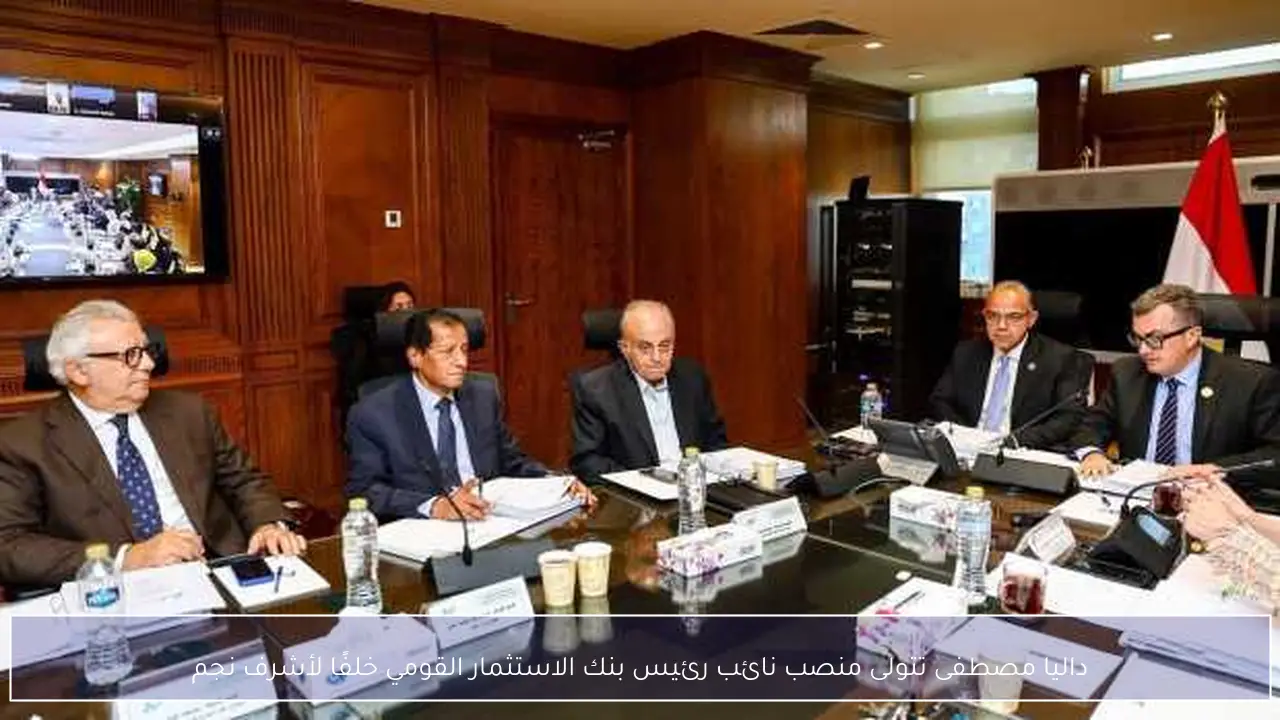 داليا مصطفى تتولى منصب نائب رئيس بنك الاستثمار القومي خلفًا لأشرف نجم