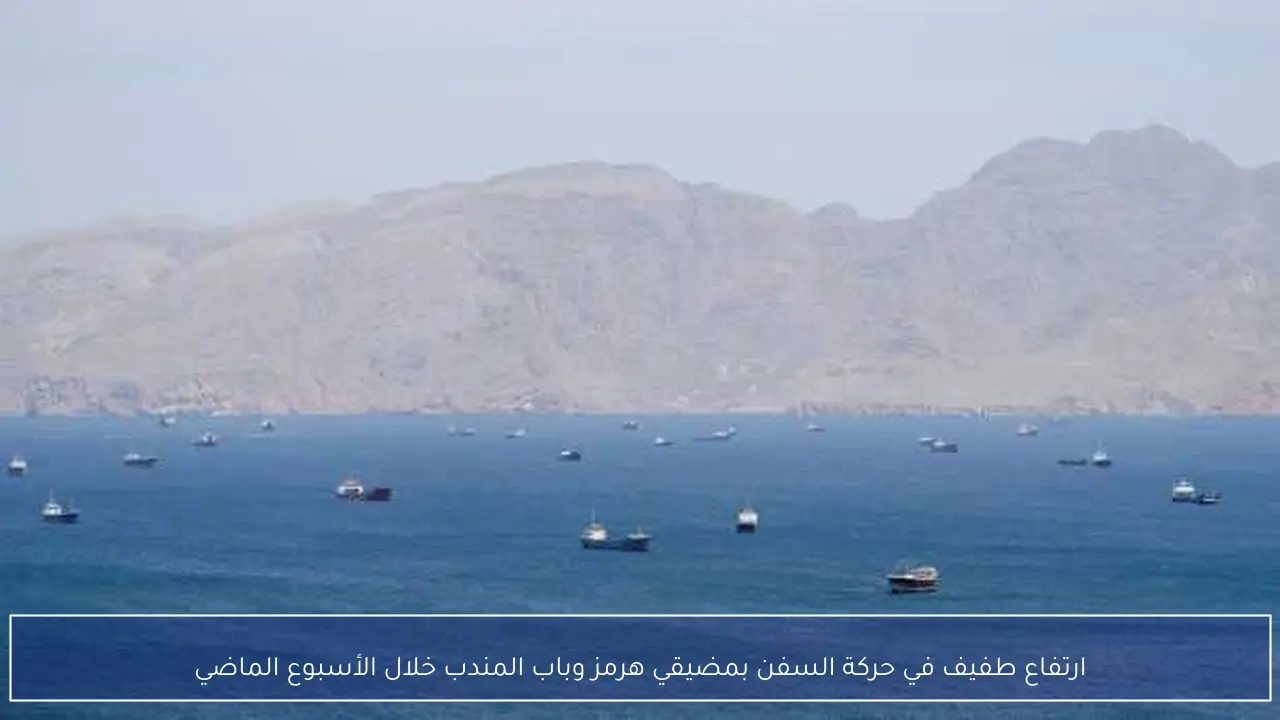 ارتفاع طفيف في حركة السفن بمضيقي هرمز وباب المندب خلال الأسبوع الماضي