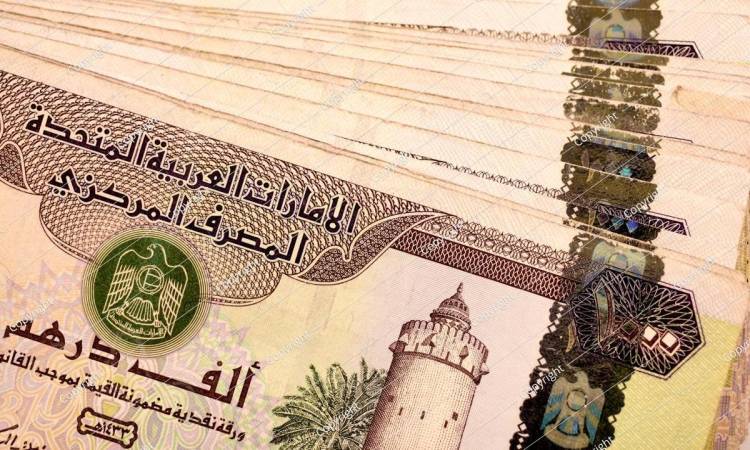 الدرهم الإماراتي