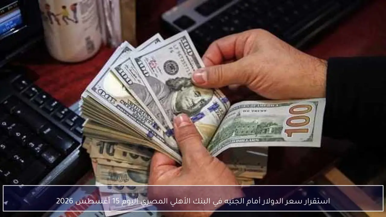 استقرار سعر الدولار أمام الجنيه في البنك الأهلي المصري اليوم 15 أغسطس 2026