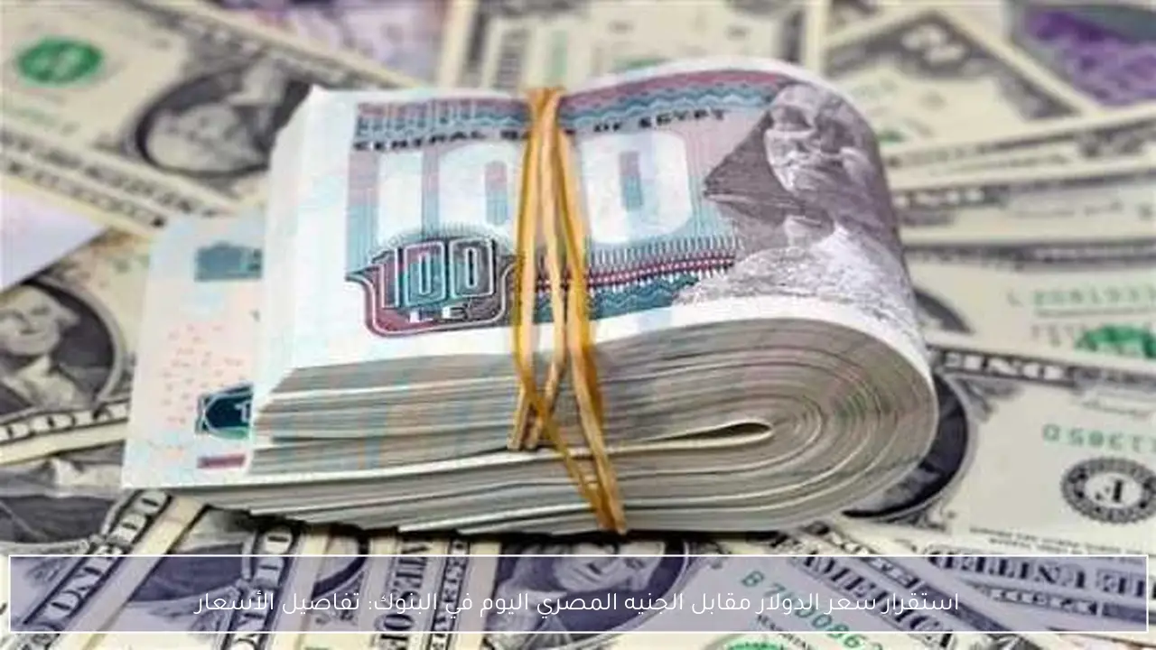 استقرار سعر الدولار مقابل الجنيه المصري اليوم في البنوك: تفاصيل الأسعار