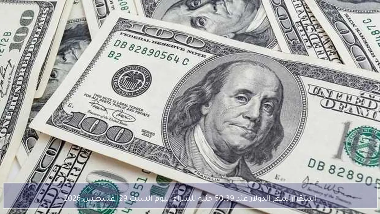 استقرار سعر الدولار عند 50.39 جنيه للشراء اليوم السبت 29 أغسطس 2026