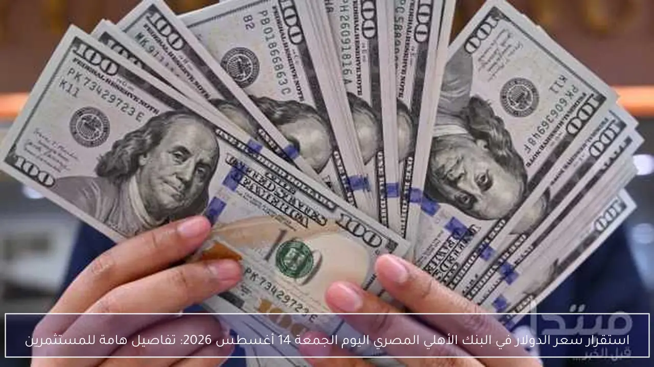 استقرار سعر الدولار في البنك الأهلي المصري اليوم الجمعة 14 أغسطس 2026: تفاصيل هامة للمستثمرين
