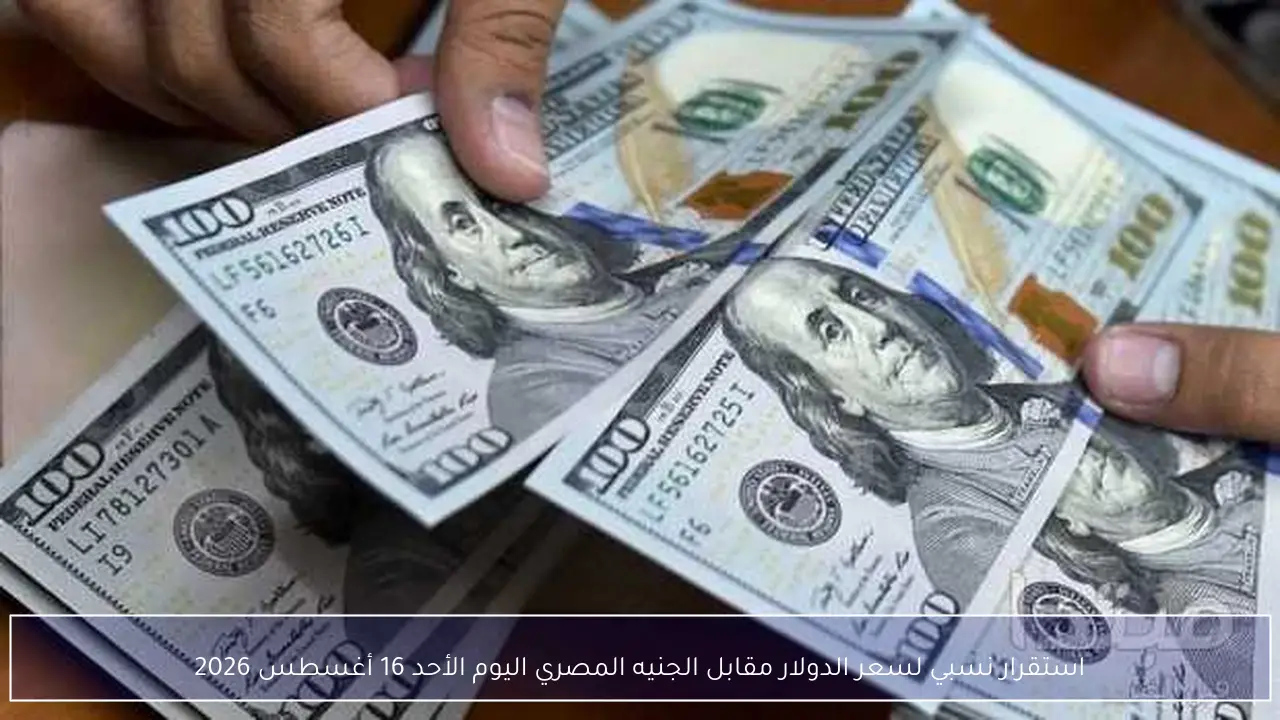 استقرار نسبي لسعر الدولار مقابل الجنيه المصري اليوم الأحد 16 أغسطس 2026