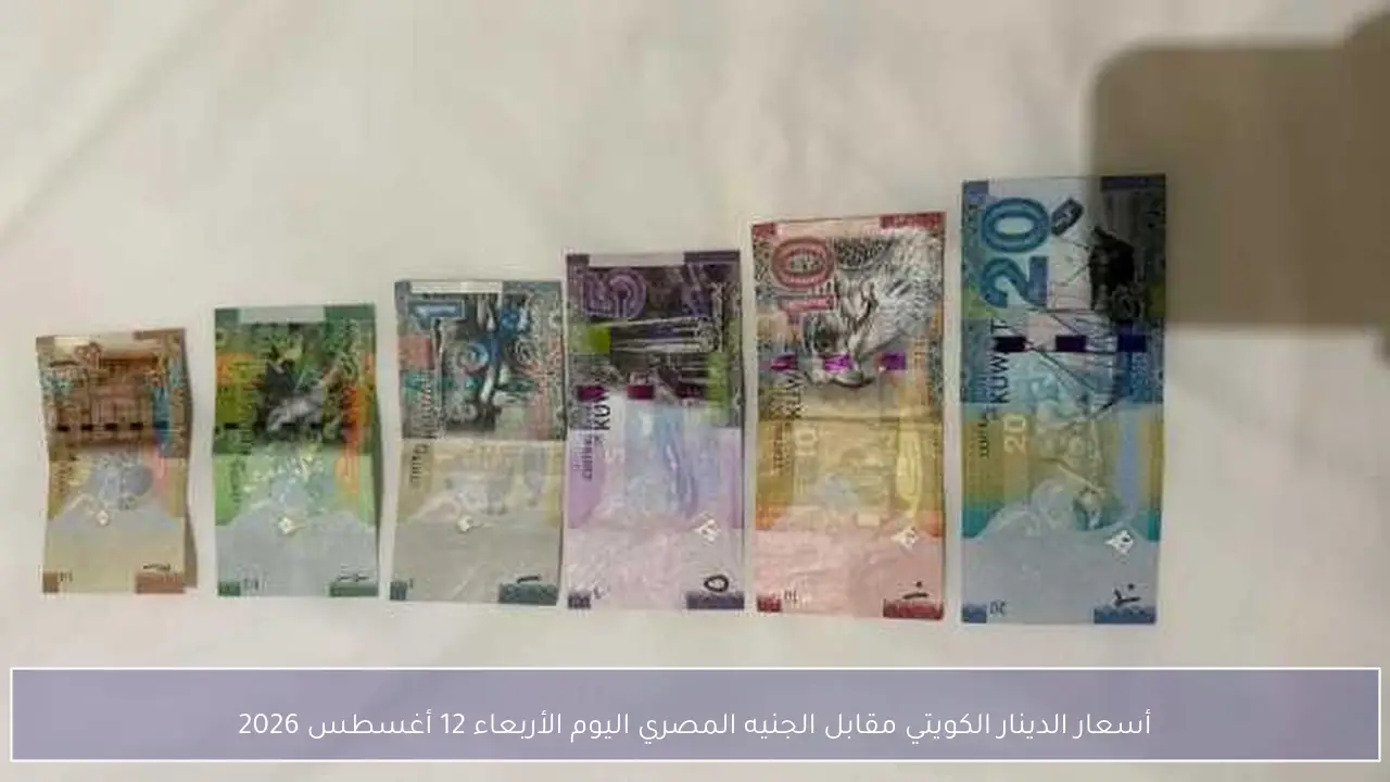 أسعار الدينار الكويتي مقابل الجنيه المصري اليوم الأربعاء 12 أغسطس 2026