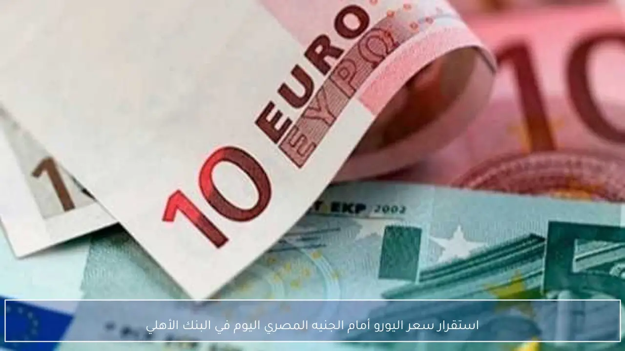استقرار سعر اليورو أمام الجنيه المصري اليوم في البنك الأهلي