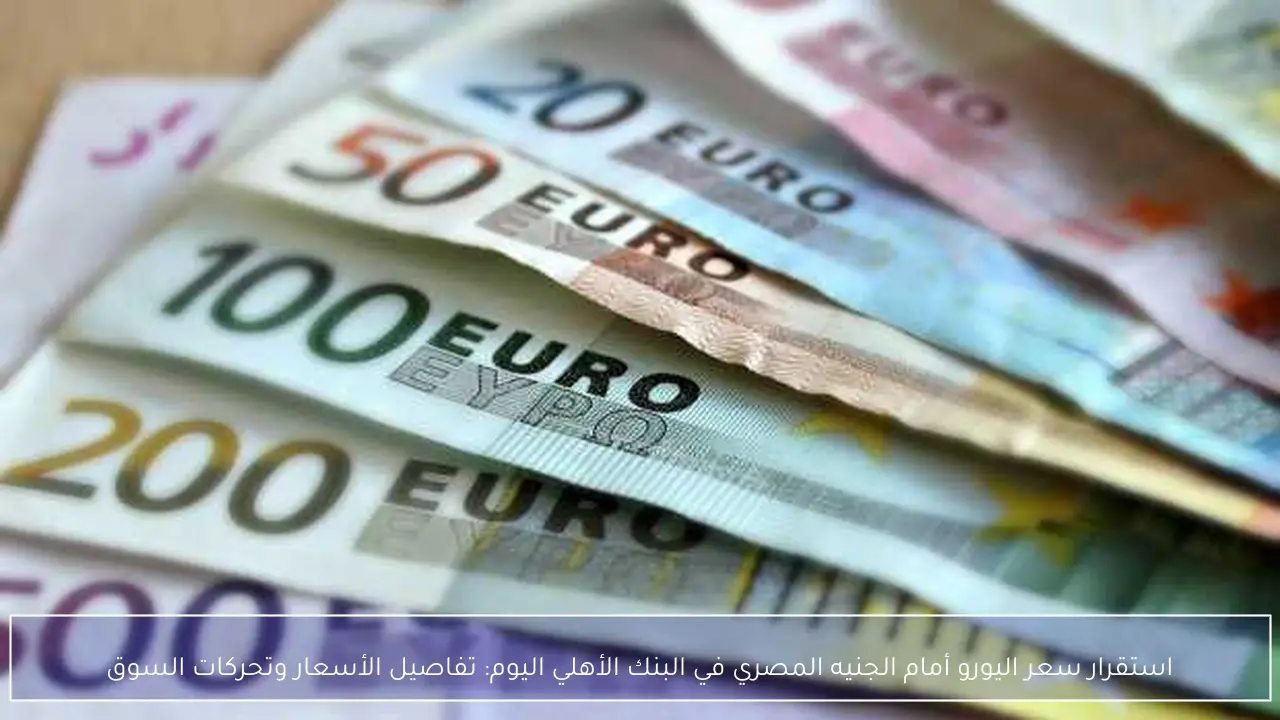 استقرار سعر اليورو أمام الجنيه المصري في البنك الأهلي اليوم: تفاصيل الأسعار وتحركات السوق