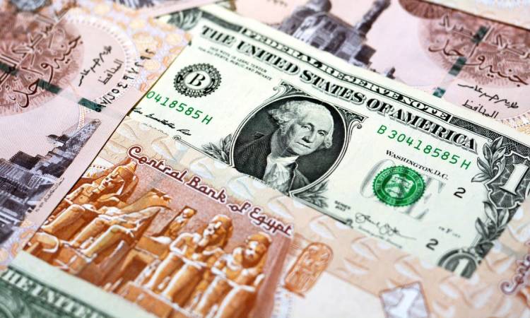 الدولار والجنيه