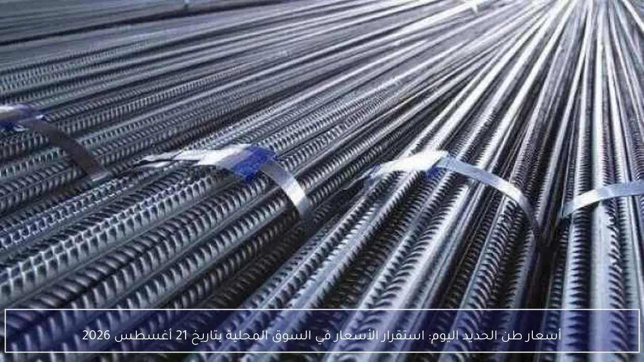 أسعار طن الحديد اليوم: استقرار الأسعار في السوق المحلية بتاريخ 21 أغسطس 2026