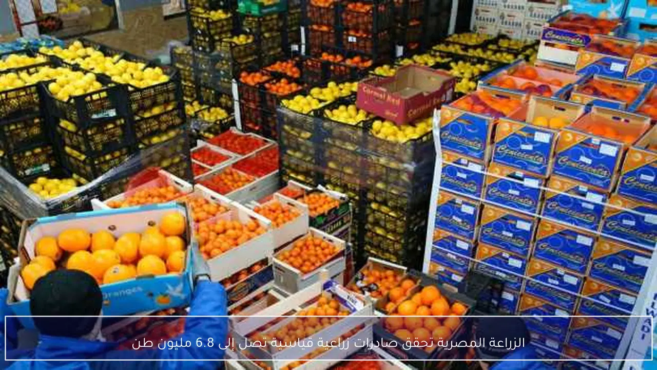 الزراعة المصرية تحقق صادرات زراعية قياسية تصل إلى 6.8 مليون طن