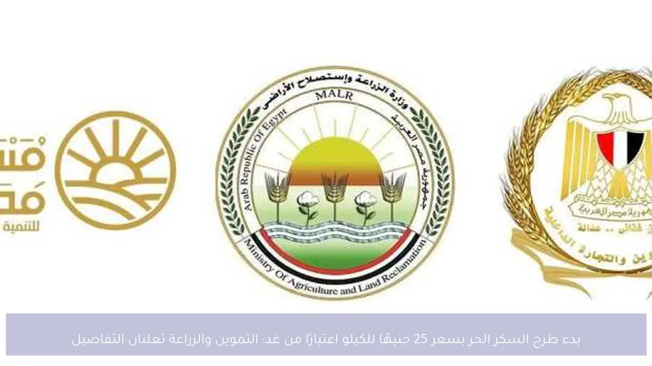 بدء طرح السكر الحر بسعر 25 جنيهًا للكيلو اعتبارًا من غد: التموين والزراعة تعلنان التفاصيل
