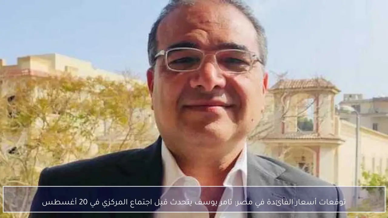 توقعات أسعار الفائدة في مصر: تامر يوسف يتحدث قبل اجتماع المركزي في 20 أغسطس