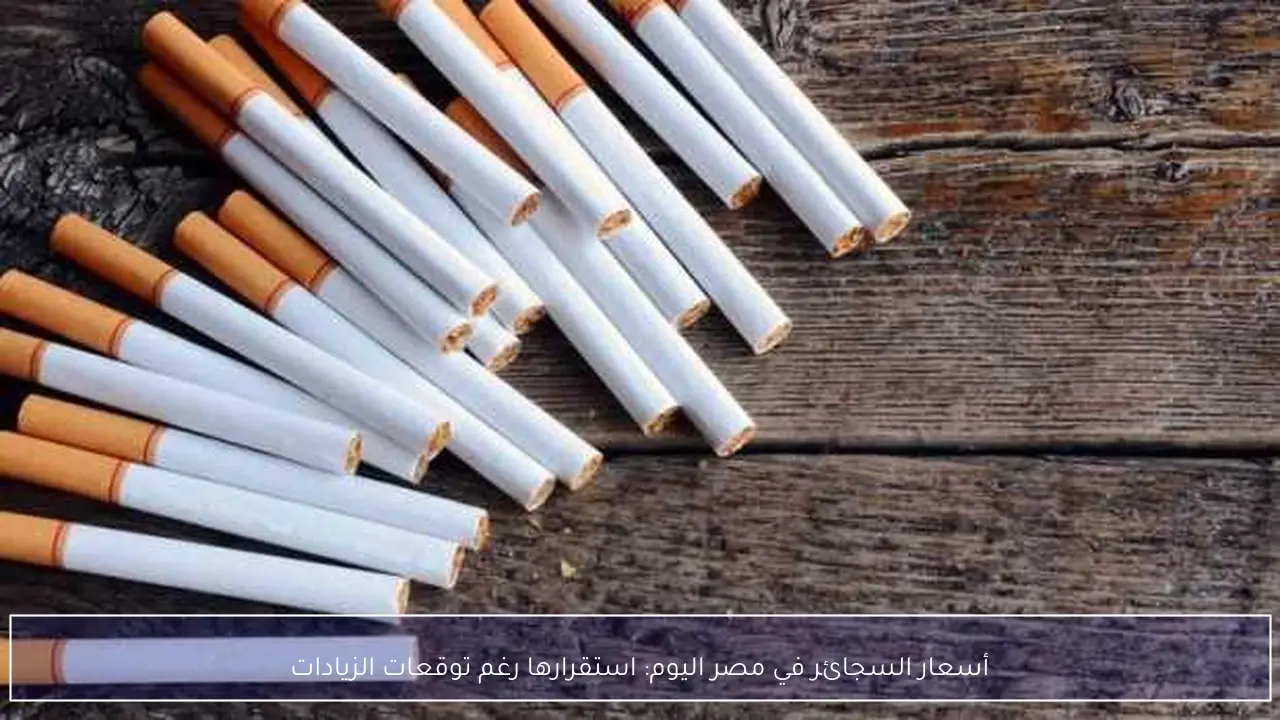 أسعار السجائر في مصر اليوم: استقرارها رغم توقعات الزيادات